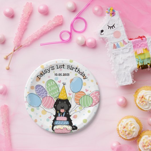 Assiettes En Carton Noir Cockapoo Cavapoo Chien Anniversaire (Fête)