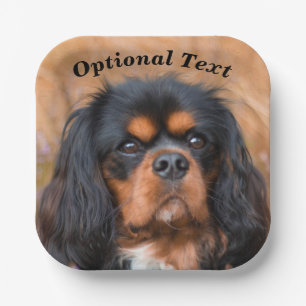Assiettes En Carton Noir et Tan Cavalier King Charles Spaniel Chien