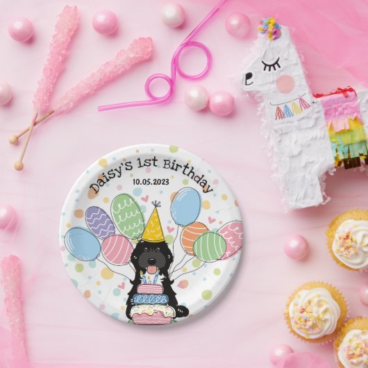 Assiettes En Carton Noir Tuxedo Cockapoo Cavapoo Chien Anniversaire (Fête)