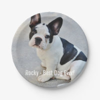 Nom personnalisé de photo de bouledogue et de