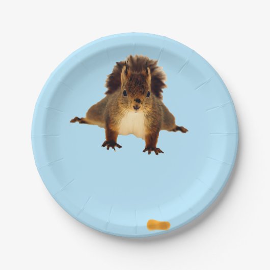 Assiettes En Carton Nosy red squirrel in snow blue (Devant)