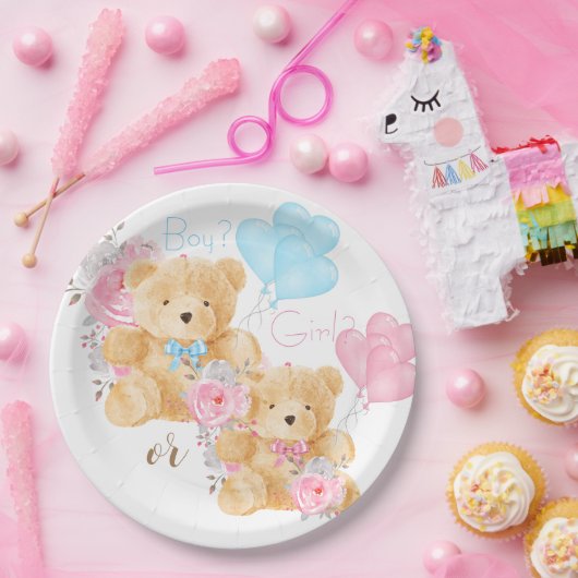 Assiettes En Carton Nous pouvons attendre la révélation de genre (Fête)