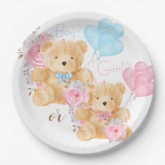 Assiettes En Carton Nous pouvons attendre la révélation de genre (Devant)