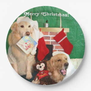 Assiettes En Carton Nuit de golden retriever avant Noël