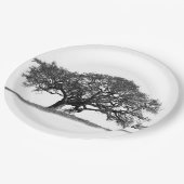 ASSIETTES EN CARTON OAK TREE (Angle)