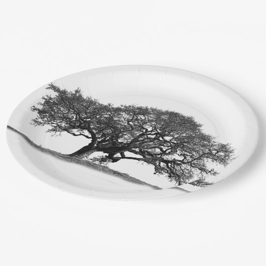 ASSIETTES EN CARTON OAK TREE (Angle)