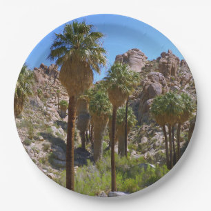 Assiettes En Carton Oasis Lost Palms I dans le Parc national de Joshua