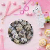 Assiettes En Carton Oeufs de caille (Fête)