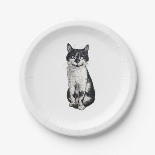 Assiettes En Carton Ogie le chat (Devant)