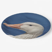 Assiettes En Carton Oie blanche canadienne (Angle)