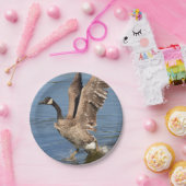 Assiettes En Carton Oie du Canada enlevant l'eau (Fête)