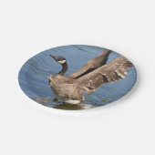Assiettes En Carton Oie du Canada enlevant l'eau (Angle)