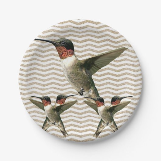 Assiettes en carton Oiseau (Devant)