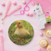 Assiettes En Carton oiseau, canard, canard, jaune, nature, mignonette, (Fête)