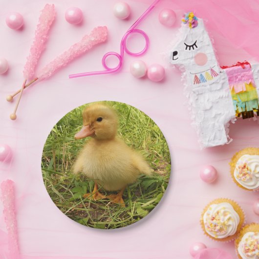 Assiettes En Carton oiseau, canard, canard, jaune, nature, mignonette, (Fête)