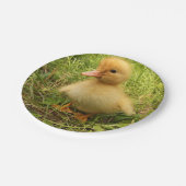Assiettes En Carton oiseau, canard, canard, jaune, nature, mignonette, (Angle)