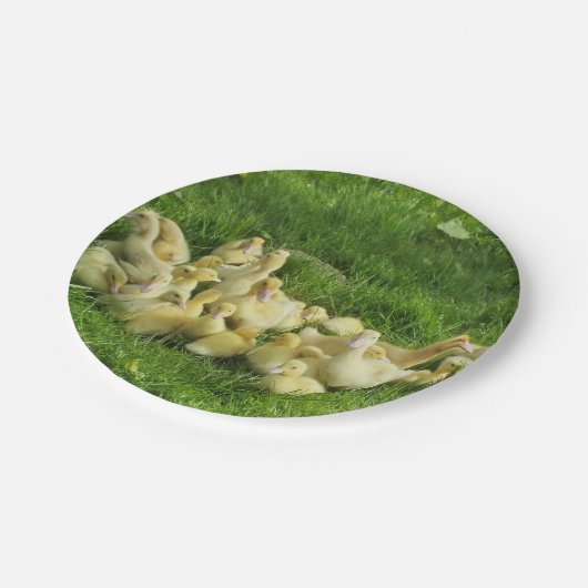 Assiettes En Carton oiseau, canard, canard, jaune, nature, mignonette, (Angle)