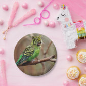 Assiettes En Carton Oiseau-chat (Fête)