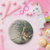 Assiettes En Carton Oiseau de Courlis à long bec Audubon (Fête)