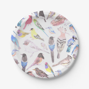 Assiettes En Carton Oiseaux d'Amérique - animaux de compagnie et oise