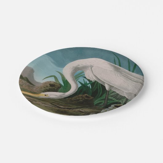 Assiettes En Carton Oiseaux de héron blanc d'Amérique Audubon Imprimer (Angle)