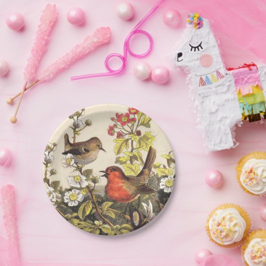Assiettes En Carton Oiseaux de printemps Robin Oiseaux rouges (Fête)