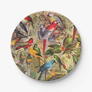 Assiettes En Carton Oiseaux tropicaux Vintages colorés Parrots