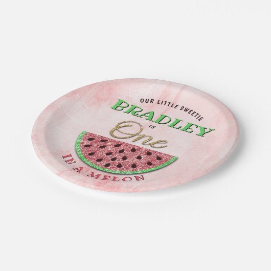 Assiettes En Carton One In A Melon 1er Anniversaire (Angle)