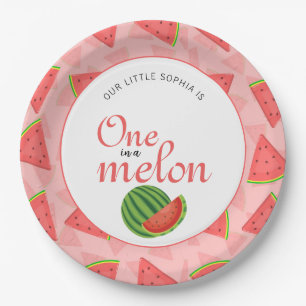 Assiettes En Carton One In A Melon 1er Birthday Party Watermelon