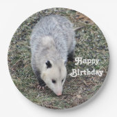Assiettes En Carton Opossum Photo Anniversaire (Devant)