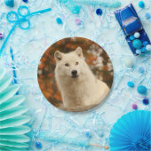 Assiettes En Carton Optimisme (Fête)