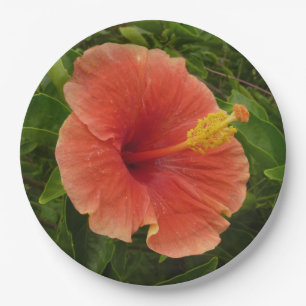 Assiettes En Carton Orange Hibiscus Fleur Tropical Floral