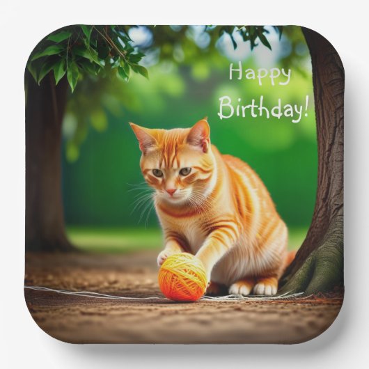 Assiettes En Carton Orange Kitty (Recto)