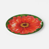 Assiettes En Carton Orange Zinnia (Angle)