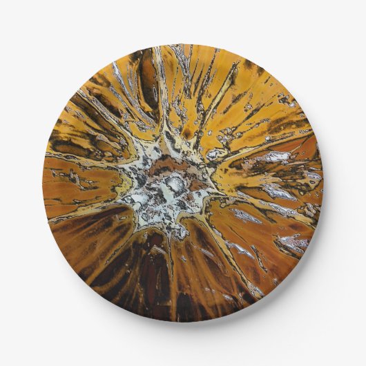 ASSIETTES EN CARTON ORANGES FRUITS (Devant)