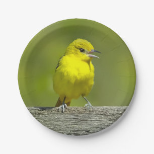 Assiettes En Carton Orchard Oriole - Photo originale