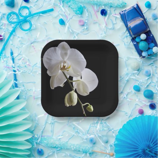 Assiettes En Carton Orchidée blanche en noir (Fête)