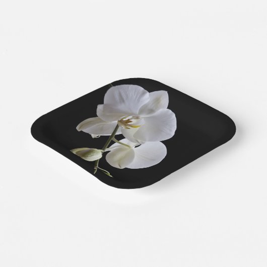Assiettes En Carton Orchidée blanche en noir (Angulaire)