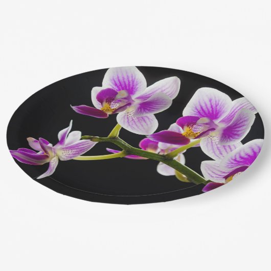 Assiettes En Carton Orchidée blanche et violette (Angle)