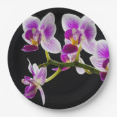 Assiettes En Carton Orchidée blanche et violette (Devant)