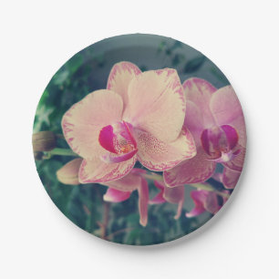 Assiettes En Carton Orchidée phalaenopsis ppolka point rose fleurs flo