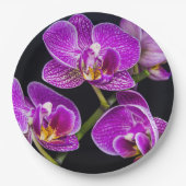 Assiettes En Carton Orchidée violette (Devant)