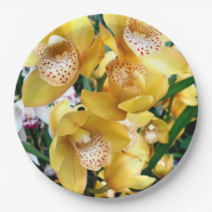 Assiettes En Carton Orchidées du Cymbidium jaune
