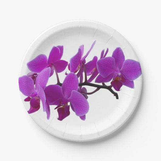 Assiettes En Carton Orchidées violettes sur plaque de papier (Devant)
