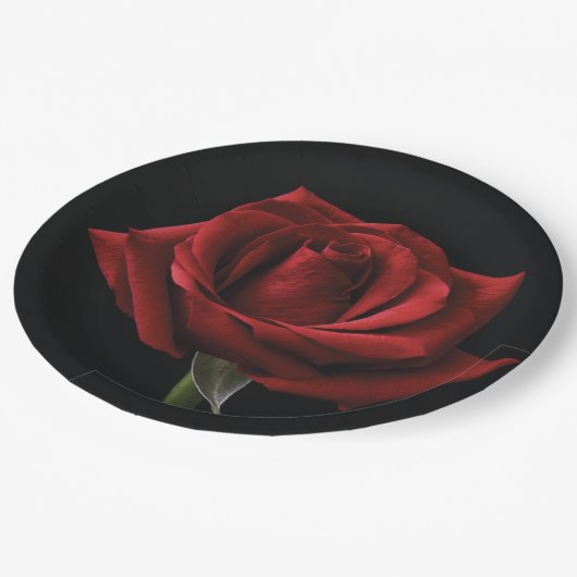 Assiettes En Carton oreiller rouge (Angle)