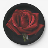 Assiettes En Carton oreiller rouge (Devant)