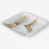 Assiettes En Carton Os de pied humain (Angulaire)