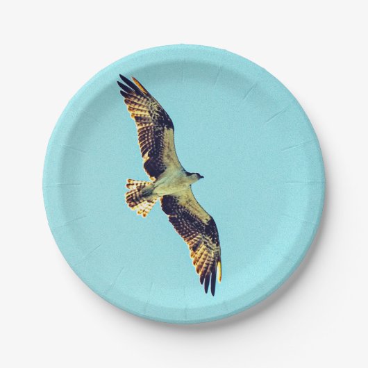 Assiettes En Carton Osprey (Devant)