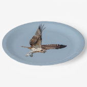 Assiettes En Carton Osprey juvénile en vol (Angle)