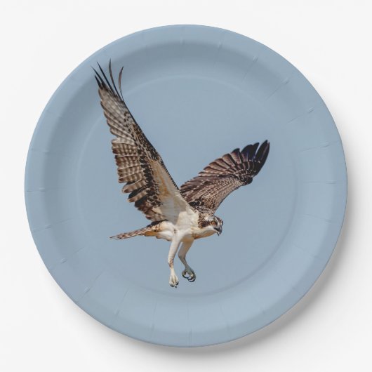 Assiettes En Carton Osprey juvénile en vol (Devant)